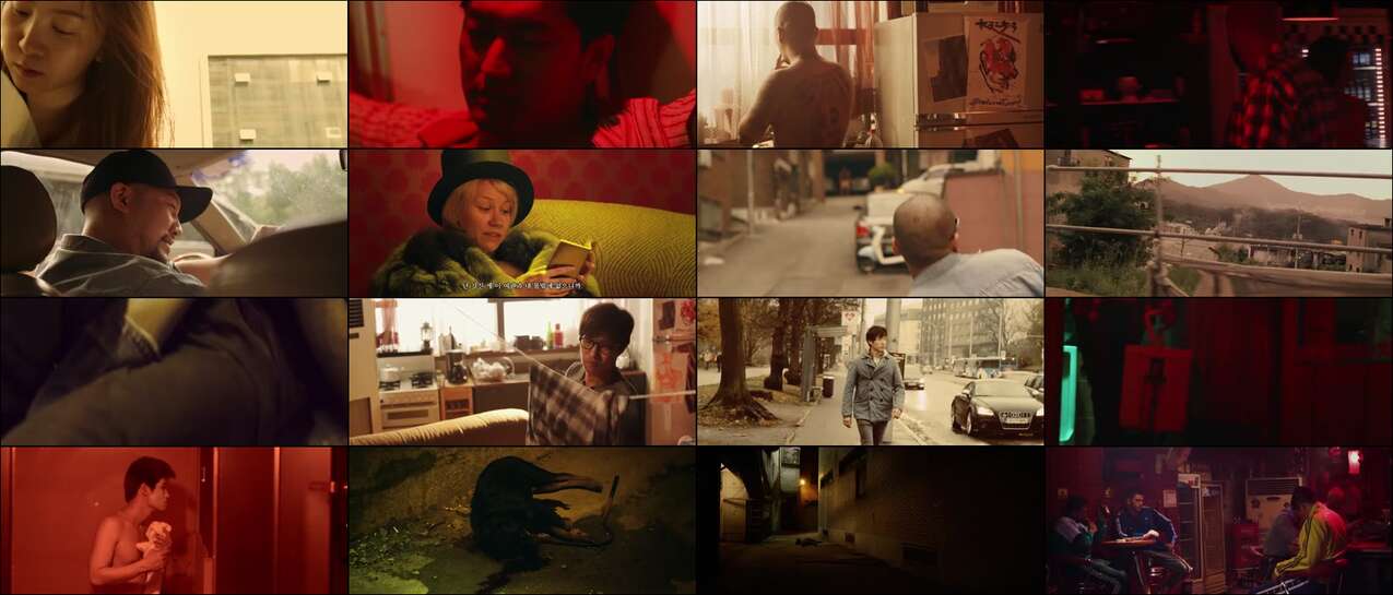 Video Angry Painter (2014)