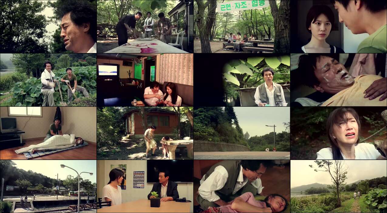 Video Ddongrye (2015)