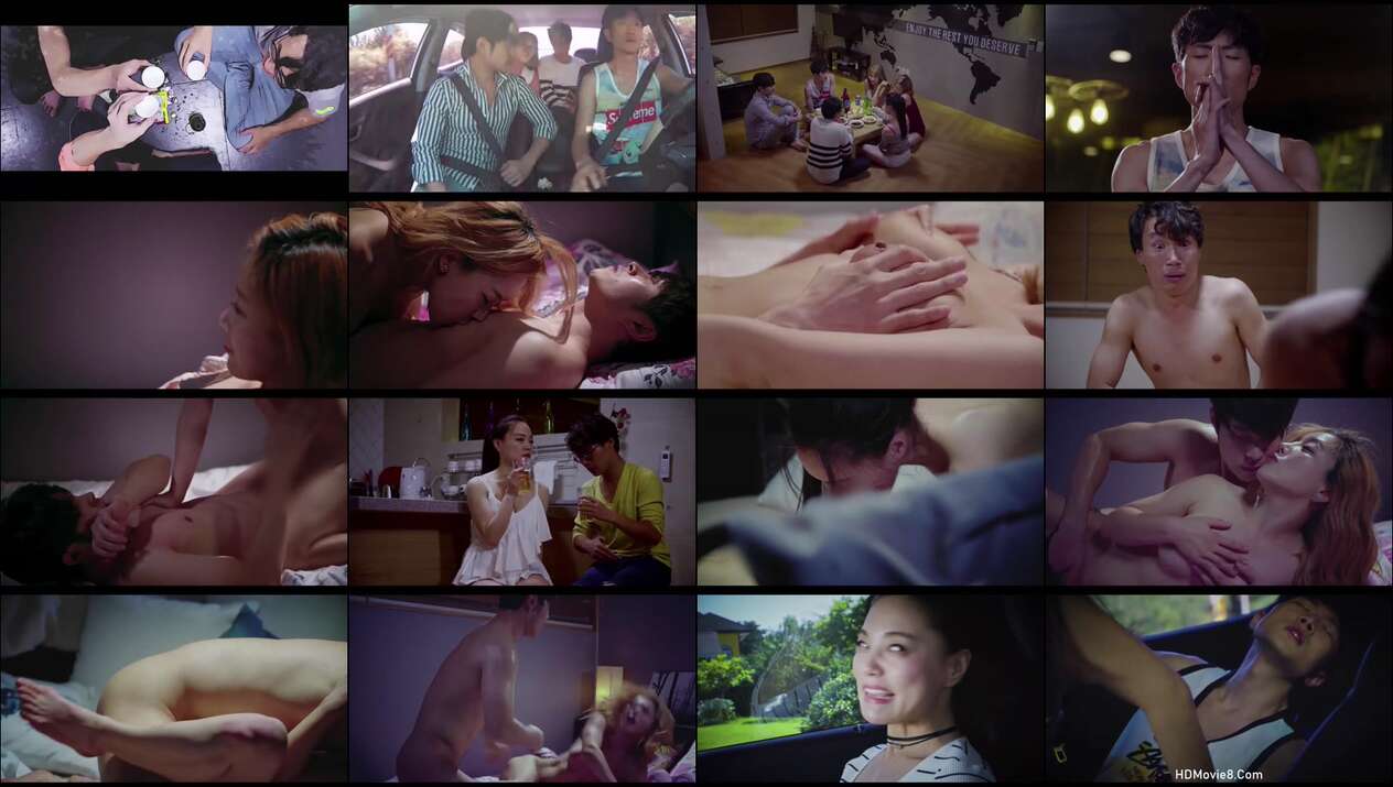 Video Mutual Relations 2 (2017)