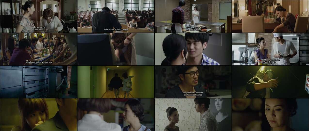 Video My Secret Partner (2011)