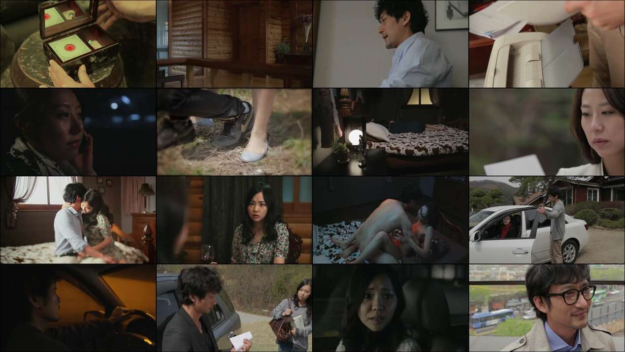 Video Role Play (2012)