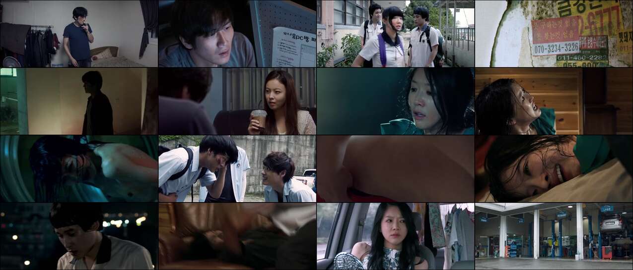 Video The Rule of Violence (2016)