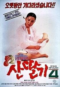 Video Wild Strawberr 4 (1991)